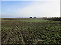 View towards Upper Brackendale Farm