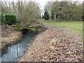 Footbridge in Buckhurst Hill Recreation Ground