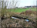 Elsecar branch, Dearne & Dove Canal, below Storey Lock