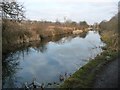 Elsecar Branch, north-east of Intake Bridge