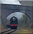 30541 on the Great Central Railway