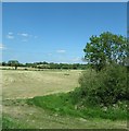 Harvested hayfield near Black Water Bridge