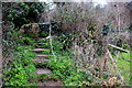 Footpath Steps near Bothenhampton