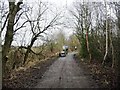 Cycling with dogs, Trans Pennine Trail