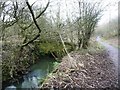 Bridge over Knoll Beck