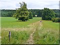 Buckmoorend - The Ridgeway