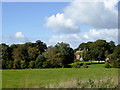 Pasture and woodland north of Adderley, Shropshire