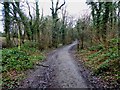 Woodnook Lane track from Linacre reservoir