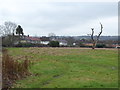 Former playing fields in Debden