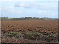 Ploughed field