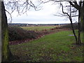 Former playing fields for Epping Forest College