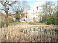 Pond on Woodford Green