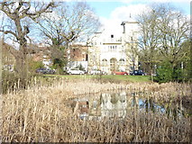 TQ4092 : Pond on Woodford Green by Marathon