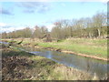 River Roding and Roding Valley Park