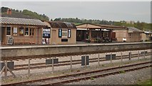 SX8061 : Totnes (Littlehempston) Station by N Chadwick