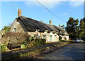 Thatched Terrace, Little Coxwell