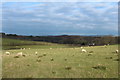 Farmland at Colvinston