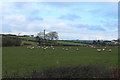 Farmland at Mossblown