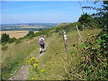 SP9516 : The Ridgeway - Steps Hill by Colin Smith