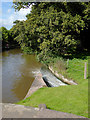 SJ6832 : Canal at Tyrley Locks, Shropshire by Roger  Kidd