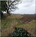 Farmland on the edge of Leicester Forest East