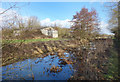 Wilts & Berks Canal at Stainswick Lane