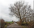 Wetmoor Lane