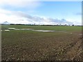 Arable field close to West House Farm