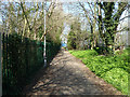 Footpath along River Wandle