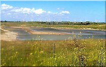 TQ9418 : Distant windmills from Rye Harbour Nature Reserve by Patrick Roper