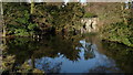 Middle pond & bridge at Capesthorne Hall near Siddington