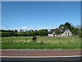 Dormer bungalow alongside the A28 in Corhammock TD