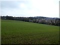 Farmland at Dodworth Botton