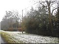 Verge on Roe End Lane