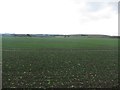 Arable land at Netherton Park