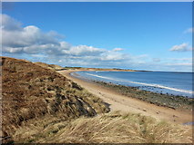 NU2422 : The beach and dunes at Dunstan Steads by Clive Nicholson