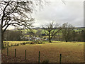 Fields north of Moffat