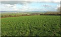 Field near Hilltown