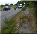 Path along Amersham Road