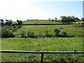 Drumlin pasture land above the Ballymoyer Road