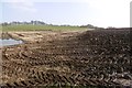 Newly ploughed field