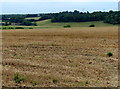 Farmland near Great White End