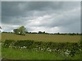 Fields, Stewarton