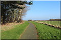 Path at Corsehill Mount