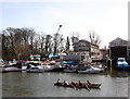 Rowing past Eel Pie Island