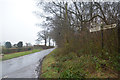 Mid Devon : Country Lane