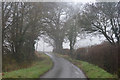 Mid Devon : Country Lane