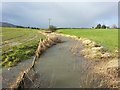 Un-named burn, looking west