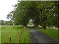 Hill road between Neilston and Dunlop