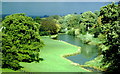 Dodington Lake & Park, Gloucestershire 1984